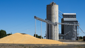 25 ноября в госфонд закупили 56,025 тысячи тонн зерна